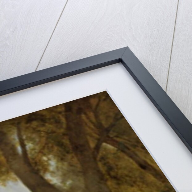 Gypsy Encampment by William Snr. Shayer