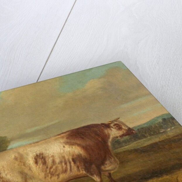 A Bull, 1862 by Richard Whitford