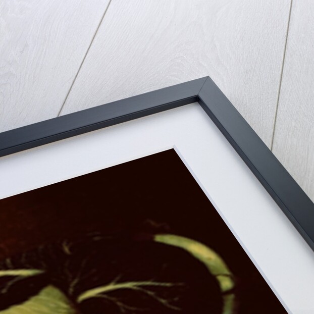 Still Life with Cat and Mouse, Primitive School, 1820 by Anonymous Anonymous