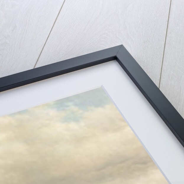 Extensive Dutch Landscape by Willem Vester
