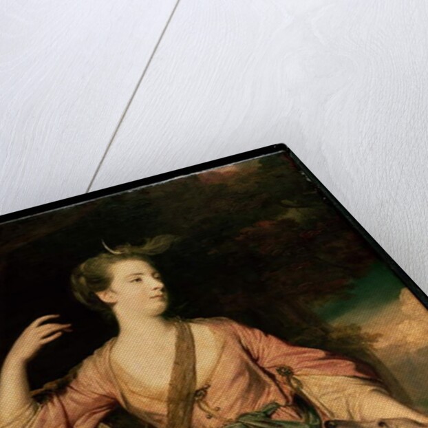 Lady Dawson c.1763 by Joshua Reynolds