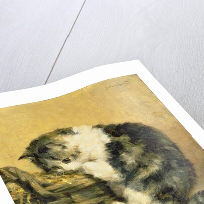 Cat with a Basket by Charles van den Eycken