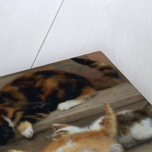 Cat and kittens chasing a mouse by Rosa Jameson