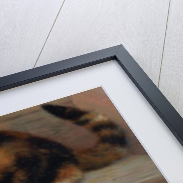 Cat and kittens chasing a mouse by Rosa Jameson