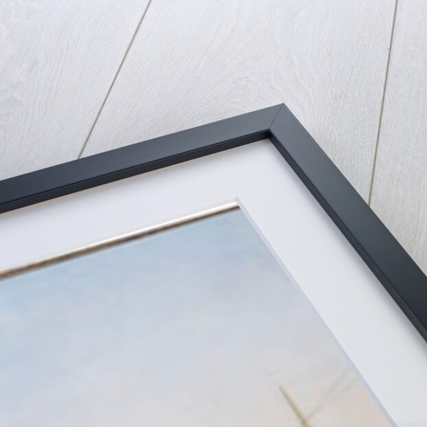 View of the River Thames with St. Paul's and Old London Bridge by William James