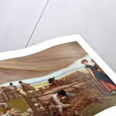 The Sheep Shearing Match, 1875 by Eyre Crowe