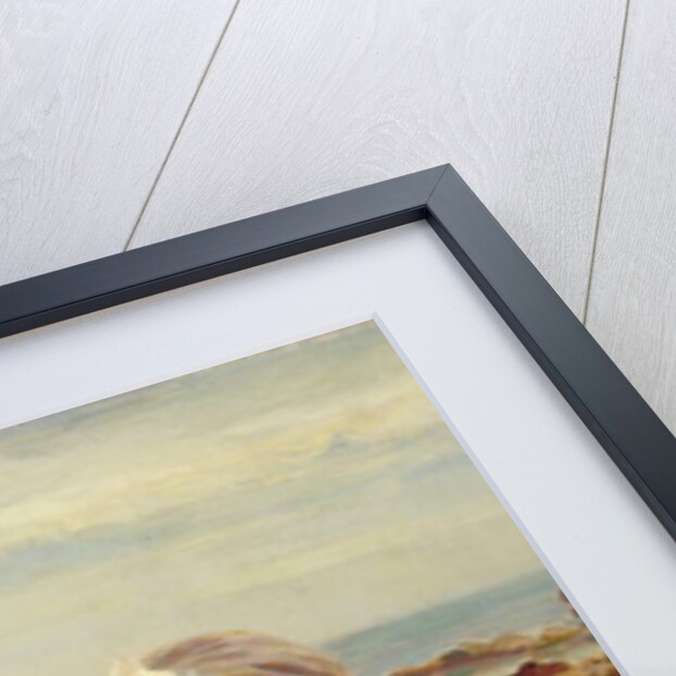 Collecting Shells by William Marshall Brown