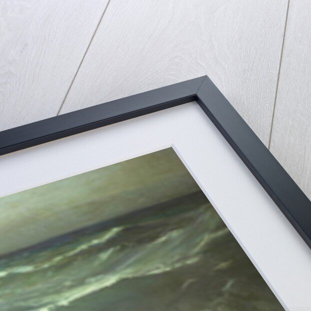 Catching waves by Paul Albert Laurens