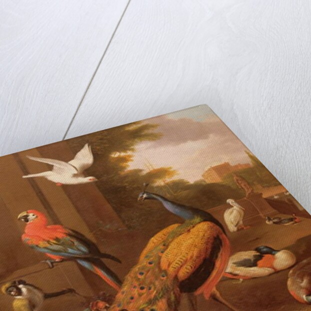 Birds in a landscape by Melchior de Hondecoeter