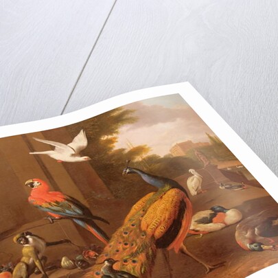 Birds in a landscape by Melchior de Hondecoeter
