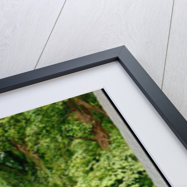 Wooded riverscape by Leopold Rolhaug