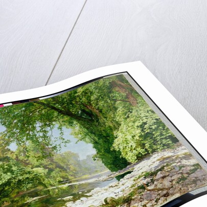 Wooded riverscape by Leopold Rolhaug