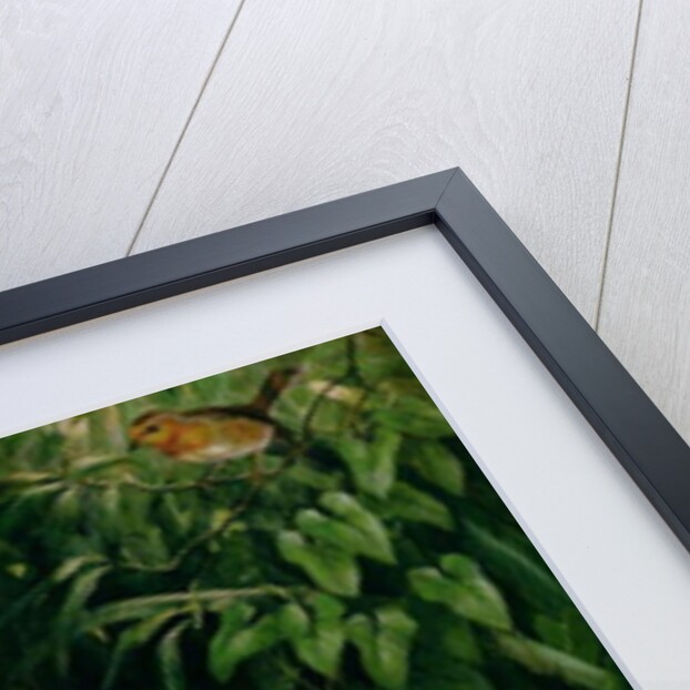 Duck and ducklings, c.1890 by English School