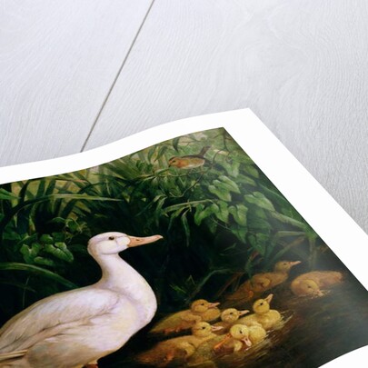 Duck and ducklings, c.1890 by English School