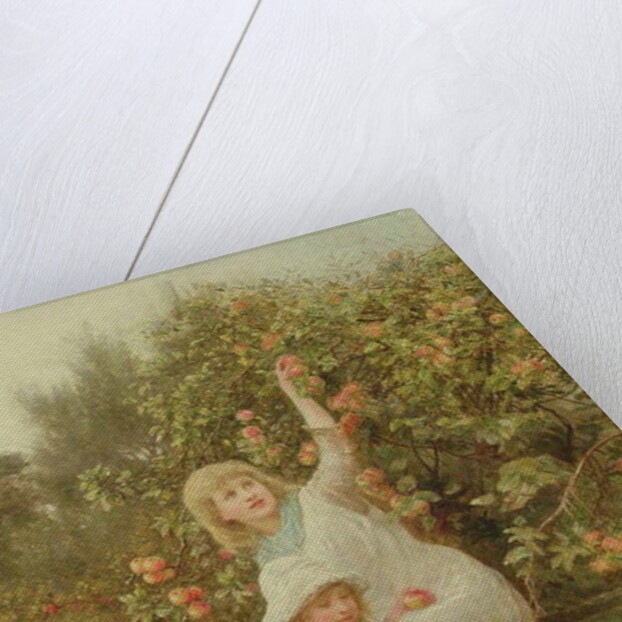 Picking Apples by Frederick Morgan