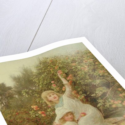 Picking Apples by Frederick Morgan