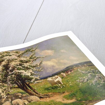 Sheep and cattle in a landscape by Arthur Walker Redgate