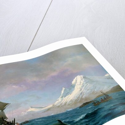 Catching whales, 1875 by J.E. Carl Rasmussen