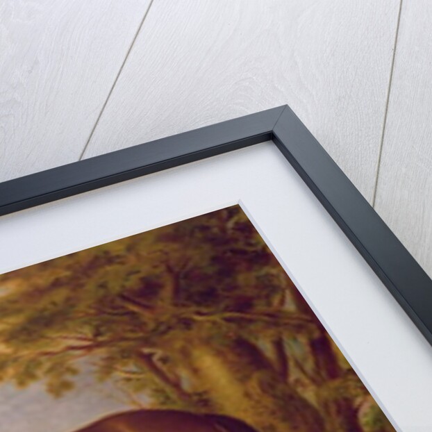 Portrait of a gentleman with his horse, c.1840 by English School