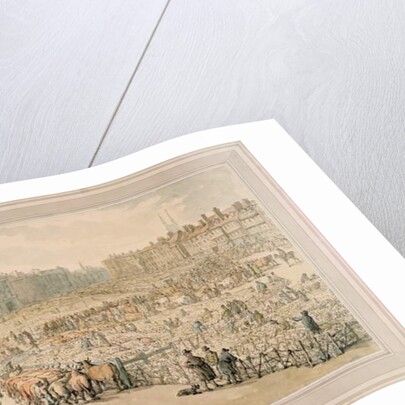 Smithfield Market, 1810 by Thomas Rowlandson