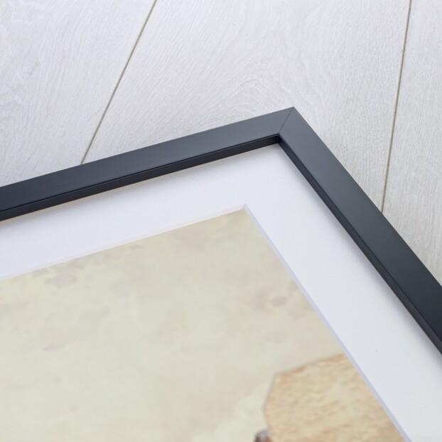 View of the East India Company's warehouses from Cutler Street, 1836 by Frederick Nash