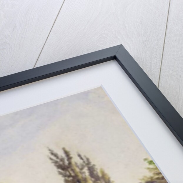 View of the front entrance and garden at Raleigh House, Brixton Hill, Lambeth, 1887 by John Crowther