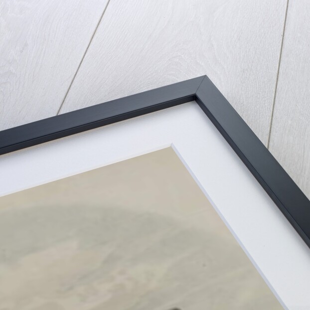 British Museum, 1850 by James Findlay