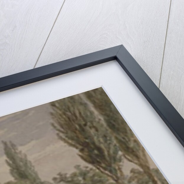 St Helena tea-gardens, Lower Road, Rotherhithe, c.1860 by English School