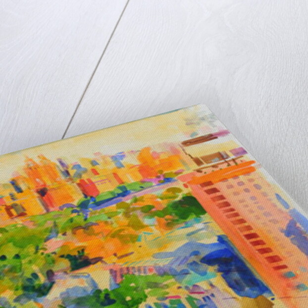 Central Park from The Carlyle by Peter Graham