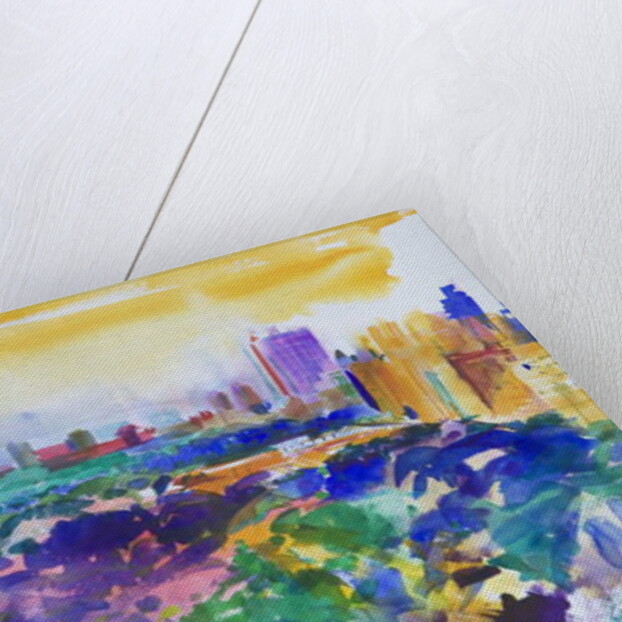 Central Park, New York, 2011 by Peter Graham