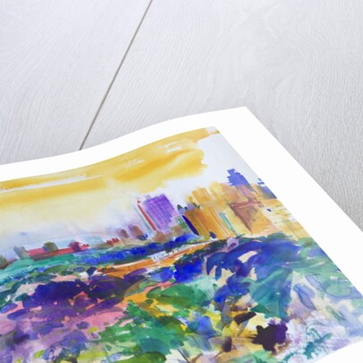 Central Park, New York, 2011 by Peter Graham