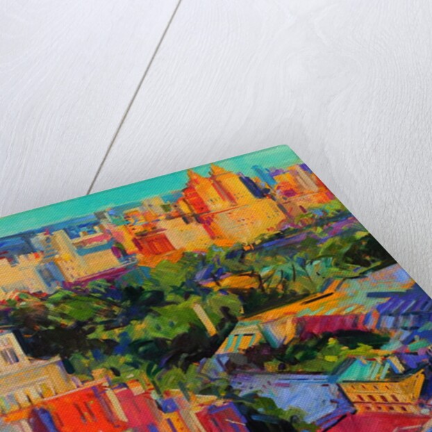 Above Central Park 2019 by Peter Graham