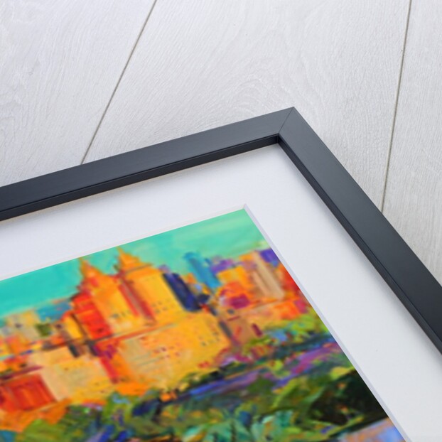 Above Central Park 2019 by Peter Graham