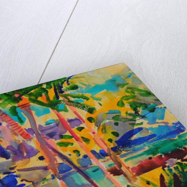 South Maui, Hawaii, 2023 by Peter Graham