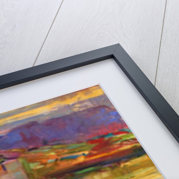 Castlebay, Barra, 2012 by Peter Graham