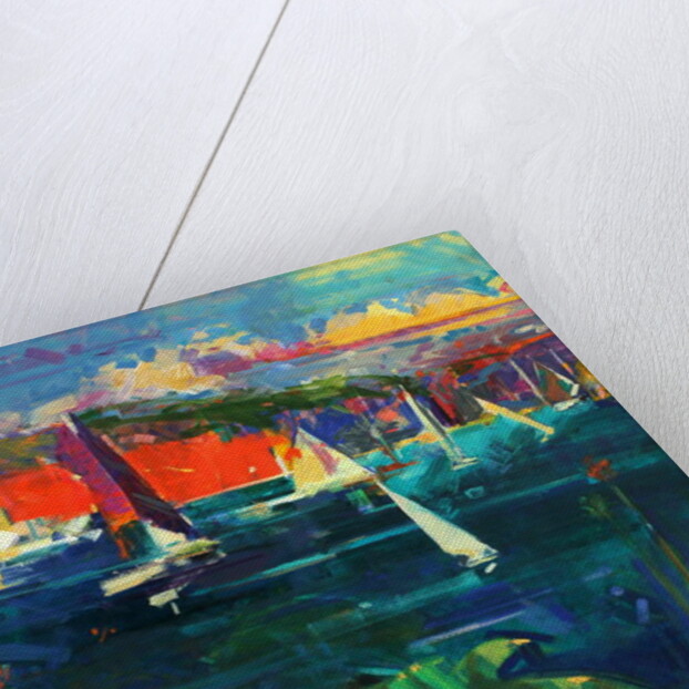 North Head, Sydney Harbour, 2012 by Peter Graham