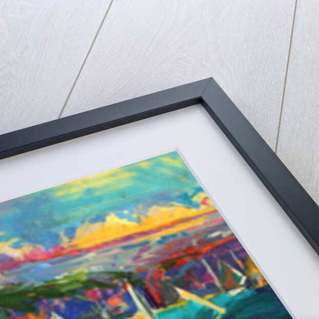 North Head, Sydney Harbour, 2012 by Peter Graham