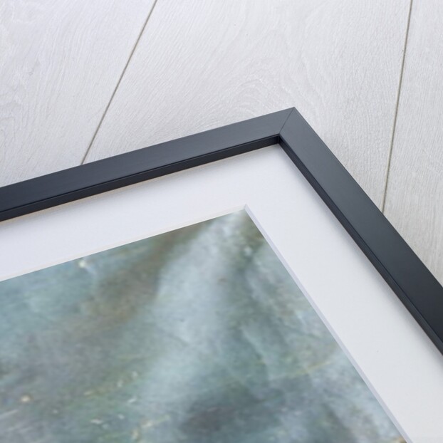 The Ship of the Finnish Explorer, Nils Adolf Erik, Baron Nordenskjold, c.1880 by Danish School