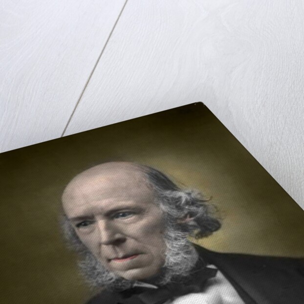 Portrait of Herbert Spencer by English School