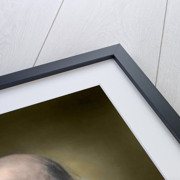 Portrait of Herbert Spencer by English School