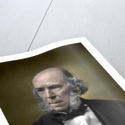 Portrait of Herbert Spencer by English School