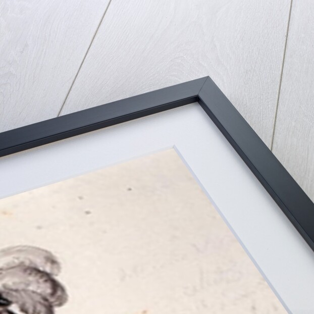 Costume design for the Count Almaviva by Luigi Sapelli Caramba