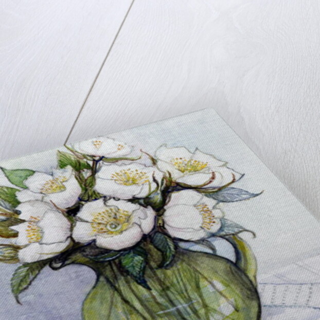 Christmas Roses, 1984 by Gillian Lawson