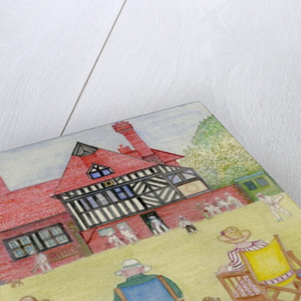 The Cricket Match by Gillian Lawson