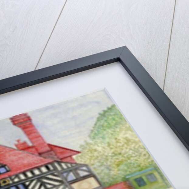 The Cricket Match by Gillian Lawson