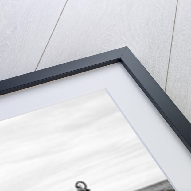 Road Memorial, New Mexico, 2006 by James Galloway