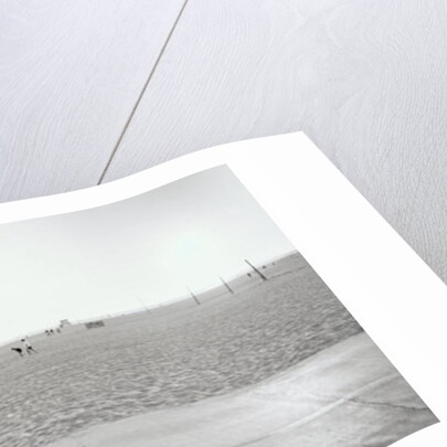 Tandem Bike, Venice Beach, CA, 2006 by James Galloway