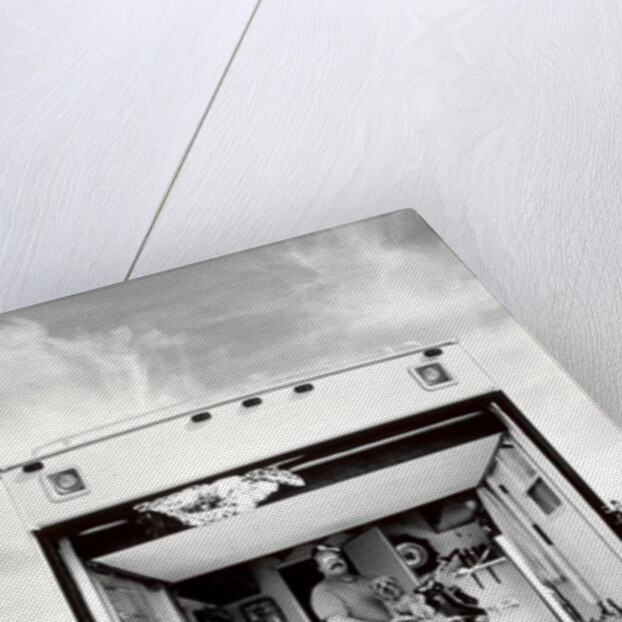 Dude and His Dog, Nevada, 2006 by James Galloway