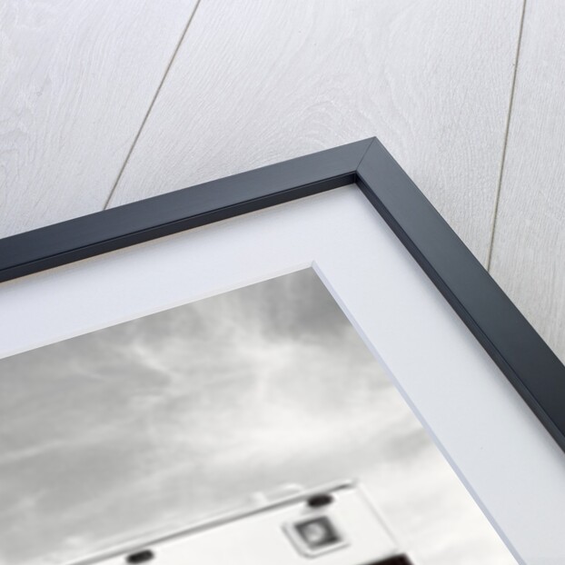 Dude and His Dog, Nevada, 2006 by James Galloway