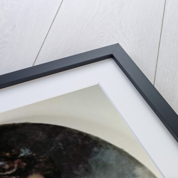 Young Woman with a Dog by Francois Flameng